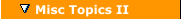 Misc Topics II (AUDIO)